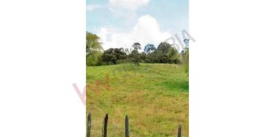 Codigo 6657. LOTE LA CALERA VEREDA EL TRIUNFO Diagonal a la hacienda Márquez excelente sector con vista al valle de sopo. Lote de 35.657 m2 se entrega con punto de agua del acueducto veredal. Uso vivienda campestre y comercial.10 kilómetros del pueblo y muy cerca de la Hacienda Márquez. Vista al Valle de Sopó. A una altura de 2700mts. En urbanización compuesta por 7 lotes adicionales. Se puede construir casa de   alto. Servicio de acueducto. Tanque de agua. Transformador de luz. Buena vía de acceso.1.700 millones