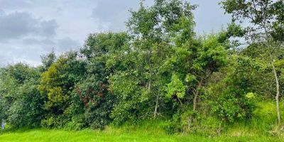 Codigo 9487. VENDO MAGNIFICO LOTE EN EL EXCLUSIVO CONJUNTO GRANADA Y CAYUNDA GRAN OFERTA. El Conjunto Cerrado ubicado a 24 kilómetros de la calle 85 vía La calera Sopo   compuesto por 115 lotes. sistema de seguridad con cámaras, cercas eléctricas, motorizados las 24 horas, lo que constituye una garantía de seguridad.El sistema arquitectónico del conjunto está regulado mediante unas especificaciones y reglamentos de construcción, lo que da garantía de una uniformidad de estilo, pero con diseños completamente diferentes. El POT que regula las construcciones del conjunto tienen unas especificaciones muy favorables comparativamente a las autorizadas hoy por planeación de la Calera en otros proyectos, lo que da la posibilidad de construir el 20% del área del lote.El lote 23 tiene una extensión de tierra de 5003.50 metros cuadrados con una vista hacia el valle de Sopo y las montañas de chingaza.