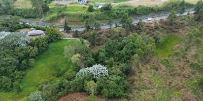 Un pulmón verde con aire puro y vista privilegiada. Bienvenido a este lote rural, esquinero, con 201 m de frente sobre la doble calzada Pereira - Armenia; topografía ondulada, bosque nativo y un área de 40.000 m2.

Disfruta de un verdadero privilegio, aprovechando el entorno campestre y el clima templado de esta zona.

Este lote puede destinarse para vivienda campestre, siembra de árboles, reforestación  o también para usos de servicio o comercio, tales como educación, restaurante, hotel, hostal, coliving, parque mirador o servicios de recreación pasiva, previa aprobación de las autoridades competentes.

El lote hace parte del distrito de conservación Barbas Bremen y las fichas normativas que lo cobijan son:

Ficha 3: Ecoturismo, restaurante y educación ambiental. 1 piso, índice de ocupación del 20%

Ficha 4: Vivienda Rural con servicio de alojamiento, 2 pisos,índice de ocupación: 10% del área bruta.

Contáctanos para agendar una visita.