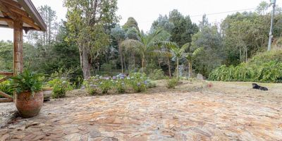 Tienes la oportunidad de adquirir un impresionante lote de terreno en la hermosa Vereda Pantanillo, Antioquia. Este paraíso natural cuenta con una ubicación privilegiada, rodeado de senderos serenos y reservas naturales que te permitirán disfrutar de la tranquilidad y la belleza de la naturaleza.

Con una extensión de una hectárea y 2,600 m2, este lote te brinda un amplio espacio para crear la casa de tus sueños o emprender un proyecto único. Además, su fácil acceso desde la vía Las Palmas te permitirá llegar rápidamente a la ciudad, manteniendo la comodidad y la conexión con todos los servicios y atracciones cercanas

No pierdas la oportunidad de convertir este lote en tu propio paraíso personal. ¡Contáctanos ahora para obtener más información y asegura tu lugar en este entorno natural único en Vereda Pantanillo, Antioquia!