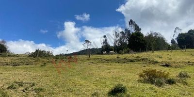 Codigo 10361. Espectacular lote de 20.140 mt2, vereda el Hato y Verjón. En medio de las montañas encuentras un lugar muy especial donde podrás disfrutar de la vista, el bosque nativo y el sonido del rio Teusaca. Cuenta con dos licencias de construcción aprobada para dos casas, punto de agua y servicios. Hace parte de 5 lotes, ya todos con casas construidas. El lugar ideal para construir la casa campestre que siempre has querido.