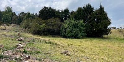 Codigo 16175. ¡Maravilloso lote de 10.000 m2 en la parcelación San Jorge 2, Yerbabuena, Chía! Condominio cerrado seguro y espectacular, con vistas a la montaña y atardeceres vibrantes. Rodeado de exuberante naturaleza, ideal para amantes de la naturaleza. Incluye contenedores habitables y opciones de diseño para comenzar el proyecto de vivienda de inmediato. Cumple tu sueño de vivir en un entorno rural y disfrutar de la belleza natural.
