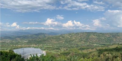 ? Venta de Lote con Vista Panorámica en Vía Santágueda, Palestina

Si sueñas con un lugar tranquilo rodeado de naturaleza, este lote es ideal para ti. Ubicado en la vía a Santágueda, a solo dos minutos de La Plata, disfrutarás de una vista inigualable y de la paz de un entorno campestre.

? Características del Lote: Este terreno ofrece una impresionante vista panorámica, rodeado de árboles frutales como plátano y limón. Perfecto para quienes buscan conectarse con la naturaleza sin renunciar a la comodidad, ya que el lote cuenta con acceso pavimentado y servicios públicos disponibles (luz, agua y más) a tan solo 10 metros de la carretera principal.

? Entorno y Accesibilidad: Aunque no está en conjunto cerrado, el lote se encuentra en un área dividida con casas alrededor que no obstruyen las hermosas vistas. Es un espacio amplio y perfecto para quienes desean construir su hogar o desarrollar proyectos en un entorno natural sin alejarse demasiado de las facilidades urbanas.

? Precio Negociable: El precio es negociable, brindando una oportunidad para que este maravilloso terreno se ajuste a tus necesidades y presupuesto. Además, cuenta con escritura propia, lo que garantiza la seguridad en la compra.

¡No pierdas esta oportunidad única de adquirir un lote con ubicación privilegiada y un entorno natural impresionante en Santágueda! Contáctanos para más información o para agendar una visita.


 
