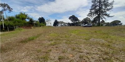 Amplio lote a la venta, con excelente ubicación y vista, que esperas para agendar una visita y conocerlo! comunícate pronto con uno de nuestros asesores.
