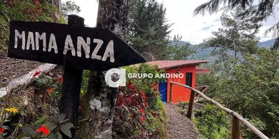 Área total lote 1.200 m, cabaña área de 27 m2 incluido el balcón, ubicado en Floridablanca en la vereda San Ignacio por la vía a Cúcuta, se encuentra a 30 minutos de Bucaramanga, cerca de zonas verdes, vías principales, restaurantes y zona de tranquilidad. Proyecto Turístico alquiler de cabañas Finca Montaña Mágica perfecta para inversión y descanso propio el cual le producirá aproximadamente un millón mensual en alquiler.

Características: cabaña amoblada (Mama Anza), cuenta con una habitación confortable, cocina, un baño, jacuzzi y un balcón con una hermosa vista natural de la montaña rodeada de bosque de pinos y flores. Casa de construcción tradicional con teja de barro y caña brava, área de 27 m2 (5 x 4 m).

La Finca cuenta con: Miradores, zonas de fogata, senderos para caminatas y se tiene proyectado realizar a fututo piscina y otras amenidades para un mejor confort de los huéspedes.

VENTA: $145.000.000

pregunta por él, bajo el código Inmobiliario V1723 ¡Contáctanos! 