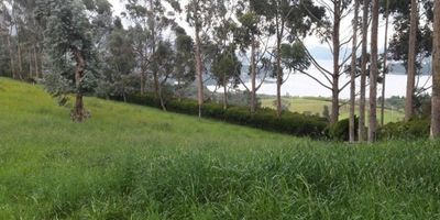 En venta lote de 4,5 fanegadas con vista panorámica  a la laguna del Neusa y su parque ecológico, ideal para agricultura y/o ganaderìa. El lote cuenta con luz y agua en su lindero.