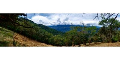 El lote ésta ubicado en la Vereda de  Otramina, a solo 5 kilométros del municipio o 15 minutos por carretera destapada en muy buen estado, frente a la reserva forestal de 440 hectáreas declarada por las autoridades ambientales; hermosa zona, con oxígeno infinito, territorio de paz y absoluta privacidad.                                                                          

Vista espectacular al rio Cauca y a frondosas cordilleras y  hermosas montañas, que nos abrazan por todos los costados.

Sector de absoluta tranquilidad, seguridad y reposo;  Ubicada a 1.600 metros sobre el nivel del mar, con una temperatura promedio anual de 26 grados centígrados; a 60 kilómetros de Medellín y próximamente con las vías en construcción, de cuarta generación, a solo una hora del municipio de la estrella.

El área del lote son 4.200 mts aproximadamente, con la posibilidad de vender hasta 6.000 mts.   Tiene carretera de acceso al lote y un punto de conección de agua del acueducto veredal y el valor es de $ 294.000.000 ( 4.200 mts cuadrados a $ 70.000 mt cuadrado).   Recibo una camioneta pickup 4x4 modelo reciente hasta por $ 100.000.000.   Se entregan escrituras a nombre del nuevo comprador.
