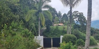 Codigo 25545. Finca en venta en Titiribi sector Vereda Corcovado Descubre esta encantadora finca ubicada en la tranquila vereda Corcovado, Titiribí, con un extenso lote de 6.400 m² y una topografía ondulada que ofrece una espectacular vista panorámica. La propiedad cuenta con una casa principal de 4 habitaciones y 3 baños, perfecta para disfrutar en familia o recibir visitas. Además; hay una casa de mayordomo con 3 habitaciones, ideal para el personal de servicio.La finca ofrece múltiples espacios para el disfrute y la productividad, incluyendo una piscina para relajarse, 4 pesebreras, y un acceso abundante a agua de nacimiento. El terreno está adornado con árboles frutales, lo que añade un toque natural y fresco a esta hermosa propiedad.Una oportunidad ideal para quienes buscan tranquilidad en medio de la naturaleza. 