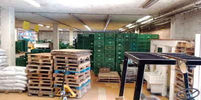 Esta bodega en ACOPI, de 1.400 m2 es una oportunidad única para aquellos que buscan un espacio amplio y versátil que puede adaptarse a cualquier necesidad. Bodega de doble altura (13 metros), área 1.100 m2, 300 m2 de muelles para camion y dos 2 baños.
Muy bien ubicada, en zona comercial, segura y de fácil acceso.