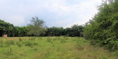 Propiedad de 7.051 m2. Ubicado en zona rural de Ginebra Valle. Con ingreso por callejón a pocos metros de la vía Naranjal-Ginebra. Ruta turística y gastronómica del sector. Contiguo a restaurantes, condominios y casas campestres, Zona en desarrollo con buena valorización. Muy cercana a la cabecera municipal. El terreno cuenta con pozo para riego, cerramiento perimetral con malla y swinglea. Tierras fértiles para cultivos agrícolas. Topografía plana, Clima Cálido- Temperatura 22-24 °. Por su área en el podrá desarrollar el proyecto para su casa campestre soñada con amplios espacios y/o realizar alguna actividad comercial.