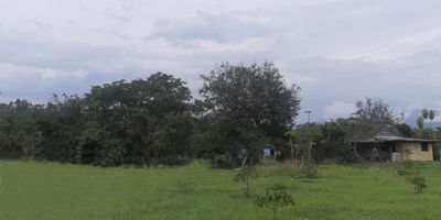 Propiedad de 4.132 m2 con frente a la vía de 20 mts, Cuenta con una bodega de 72 m2. Distribuida internamente en una habitación con baño y área libre. Casa prefabricada sistema liviano de 45 m2, que incluye 3 habitaciones y 2 baños. Cuenta con gran variedad de árboles frutales. Disposición de servicios públicos. Ubicado en zona rural sobre la vía Naranjal-Ginebra. Ruta turística y gastronómica del sector, a pocos minutos de la cabecera municipal.  Topografía plana, Clima Cálido- Temperatura 22-24 °, Tierras fértiles para cultivos agrícolas, Sector tranquilo, rodeado de vegetación. Lugar en donde podrá construir la vivienda de sus sueños.