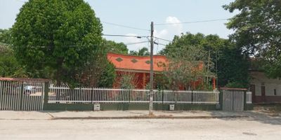 Casa lote en venta ubicada en el barrio IFA, Guamo - Tolima con un área de 2.090  m². El inmueble se encuentra distribuido: Casa: Sala comedor, Tres habitaciones, Hall de alcobas, Cocina, Patio, Baño social, Zona de ropas. Contiguo un apartamento: Sala comedor, Dos habitaciones, Cocina, Baño social, Patio y Zona de ropas. Solar con plantación: Plátanos, Cachacos, Mangos, Mandarinas, Cacao, Papayas, Limones y naranjas.