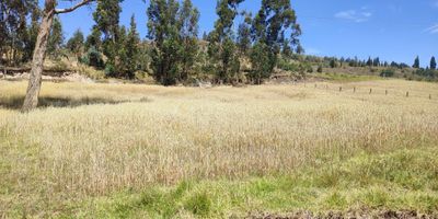 ¡ATOS INMOBILIARIA VENDE LOTES EN OICATÁ, VEREDA SANTA BÁRBARA!

Descubre esta excelente oportunidad de inversión en el municipio de Oicatá. Atos Inmobiliaria ofrece varios lotes disponibles, perfectos para desarrollar proyectos a tu medida.

Detalles de los Lotes Disponibles:

Lote 1:

Área: 5,107 m²
Valor: $357,490,000
Lote 2:

Área: 4,533 m²
Valor: $317,310,000
Lote 3:

Área: 4,530 m²
Valor: $271,800,000
Lote 4:

Área: 3,456 m²
Valor: $207,360,000
Lote 5:

Área: 3,250 m²
Valor: $195,000,000
Estos lotes cuentan con excelente ubicación en la vereda Santa Bárbara, ofreciendo un entorno tranquilo y natural, ideal para construir la casa de tus sueños o desarrollar proyectos agrícolas. No pierdas la oportunidad de invertir en una zona de gran potencial.

Contáctanos en Atos Inmobiliaria para obtener más información y programar una visita. ¡Estamos aquí para ayudarte a hacer realidad tus proyectos!