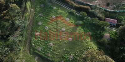 Lote con excelente ubicación entre Cocorná y El Santuario.
Cuenta con un área de 7.000 m2, a tan solo 500 m2 de la Autopista Medellín Bogotá, sector Centro educativo las Cruces, acceso en rieles, rodeado de extensa naturaleza y aire puro este terreno es muy aprovechable, el ingreso tiene reja de seguridad con control, cuenta con tierras fértiles para gran variedad de proyectos productivos tales como: frutales y aguacate hass, suelo apto para construcción de cabañas o vivienda privada.