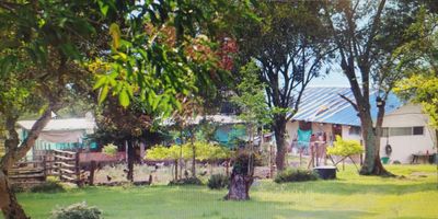 FUSAGASUGA,  26.000 mil  metros cuadrados lote,  terreno  urbano en extensión,  para desarrollar proyectos de vivienda  a trescientos  metros de la antigua  vía panamericana,  cerca al indio,  actualmente (finca)  tiene tiene casa, galpones y zona para crianza de animales.