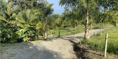? Venta de Lote en El Arenillo, Manizales | Lotes Campestres en Venta

¡Construye tu hogar ideal en este espectacular lote campestre, ubicado en el tranquilo y deseado sector de El Arenillo, Manizales! Perfecto para quienes buscan disfrutar de la naturaleza con acceso a los servicios necesarios para una vida cómoda.

? Área del Lote: 2.338,16 m²
? Características:


 Servicios Públicos: Acceso a la red de acueducto de Manizales y red eléctrica de la CHEC, lo que asegura una conexión eficiente a agua y energía.
 Alcantarillado: El sistema se desarrolla de forma individual, proporcionando la flexibilidad para implementar soluciones personalizadas.
 Configuración Ideal: Lote con excelente topografía, perfecto para el desarrollo de una vivienda campestre con diseño a tu medida.
 Vecindario Tranquilo: El lote está rodeado de un entorno agradable, con vecinos que comparten el mismo estilo de vida campestre, ideal para disfrutar de paz y privacidad.


? Ubicación: A tan solo unos minutos de la ciudad, este lote ofrece la combinación perfecta entre tranquilidad rural y la cercanía a los servicios de Manizales.

? Precio: ¡Contáctanos para más detalles sobre este lote y empieza a planear tu futuro en este hermoso entorno campestre!


