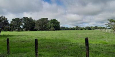 Venta de Finca ganadera7 Agricultura San Martin de los Llanos  Meta  ubicada a 15 kilómetros de del pueblo vía área pavimentada de 151 hectáreas (mil quinientos diez metros) excelentes fuentes hídricas( río, nacimientos), sabana, postreros con pastos e infraestructura corrales, brete para desarrollo de actividad agropecuarias. dos casas principales y de Mayordomo, servicio de agua y luz. Fáciles vías de acceso por la cercanía al municipio. En la actualidad tiene cultivo de cacao (una hectárea y media aproximadamente)