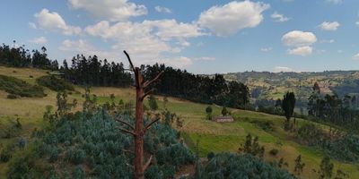 ADMINISTRADORA AAVAL VENDE LOTES RURALES EN SOTAQUIRÁ, COLINDANDO CON PAIPA. TERRENO DE MIL METROS CUADRADOS, IDEAL PARA CASA CAMPESTRE, CABAÑAS O GLAMPING, CON VISTA DE TRECIENTOS SESENTA GRADOS A LA NATURALEZA. UBICADO EN LA VEREDA TORRE LA LOMA, A DIEZ MINUTOS DE LA VÍA PAIPA-BOGOTÁ.