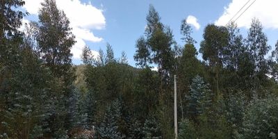 ADMINISTRADORA AAVAL VENDE LOTES RURALES EN SOTAQUIRÁ, COLINDANDO CON PAIPA. TERRENO DE MIL METROS CUADRADOS, IDEAL PARA CASA CAMPESTRE, CABAÑAS O GLAMPING, CON VISTA PANORÁMICA DE TRECIENTOS SESENTA GRADOS A LA NATURALEZA. UBICADO EN LA VEREDA TORRE LA LOMA, A DIEZ MINUTOS DE LA VÍA PAIPA-BOGOTÁ.