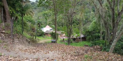 Bonita finca - Pacho - Cundinamarca
¿Busca una finca ideal para el contacto con la naturaleza y el descanso? ¿Desea que esté cerca a Bogotá y a un atractivo municipio? ¿Qué la zona brinde la oportunidad de buena oferta de paisajes y biodiversidad, favorables para el desarrollo de actividades agropecuarias y ecoturísticas?
Esta finca, ubicada en la zona rural del municipio de Pacho, en el departamento de Cundinamarca es la ideal. Se encuentra, sobre la vía que conduce de Pacho a la Palma, a 1 kilómetro del centro de Pacho, aproximadamente a 10 minutos. Ocupa una extensión de 6.400 m2, equivalentes a 1 fanegada; cuenta con una casa con cuatro habitaciones, sala comedor, cocina, baño y patio, rodeada de zona verde y árboles frutales.
Contácteme, y con el mayor gusto veremos esta excelente oportunidad para usted y su familia.