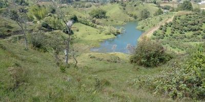 Lote para desarrollo ubicado en El Peñol, con derecho de agua, acceso vía pavimentada, (para proyecto turistico).