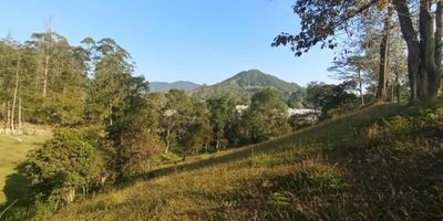 Lote en venta en Vereda Guamito, El Carmen de Viboral, Antioquia. Este extenso terreno de 10.800 m² ofrece una topografía mixta y cuenta con un nacimiento de agua, brindando un entorno natural privilegiado. Disfrute de una hermosa vista en un sector tranquilo de El Carmen de Viboral, ideal para su proyecto. Su ubicación en Antioquia lo hace atractivo para quienes buscan espacio y naturaleza. Con un precio de venta de $1.600.000.000, es una excelente oportunidad en la región. Para más detalles o para coordinar una visita, no dude en contactarnos vía WhatsApp, quiero que me contacten, o consultar los teléfonos disponibles.