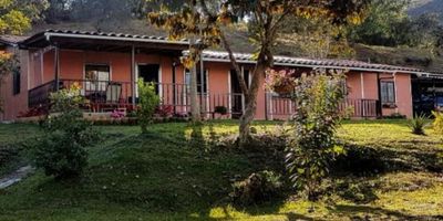 Finca con amplia zona verde ubicada a 30 minutos de la cabecera municipal. 
Cuenta con: Agua por acueducto, energía por EPM, Internet por empresa Redline, Kiosko de 3x3 mts.