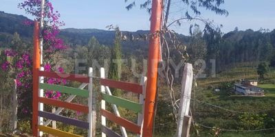 Finca de PRODUCCIÓN AGROPECUARIA en CABRERA-CUNDINAMARCA, excelente oportunidad de inversión y desarrollo agropecuario con una combinación única de infraestructura y recursos naturales:
-Dos nacederos de agua y capacidad de almacenamiento de más de 10,000 litros. 
-Cultivos en Producción:400 matas de mora, 1.000 matas de uchuva, 700 árboles de tomate de árbol, 6.000 árboles de eucalipto certificados.
-Criadero de lombrices para la fertilización orgánica de los cultivos.
-Instalaciones para criar hasta 400 pollos, 6 potreros habilitados para ganado y capacidad para mantener 10 cabezas de engorde, con centro de acopio cubierto para alimentación y bebida. Especial para la implementación de sistemas avanzados en la cría de cerdos. 
- Bodega para herramientas y mantenimiento, Servicios completos que incluyen internet.
- Luz solar durante el día e iluminación completa en la noche, casa tipo rancho antiguo, bien acondicionado, con 3 habitaciones, 1 baño, Zona de lavandería, Sala, comedor, cocina tipo americano, bodega adicional.
¡No pierdas esta oportunidad única de adquirir esta finca con gran potencial. Para más información y visitas, contacta con nosotros.