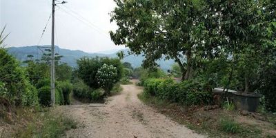 Excelente finca en uno de los mejores sectores de Anapoima, ingreso vía carreteable a tres minutos del perímetro urbano, de uso del suelo suburbano, con nacedero de agua y lago de 120 mts2.