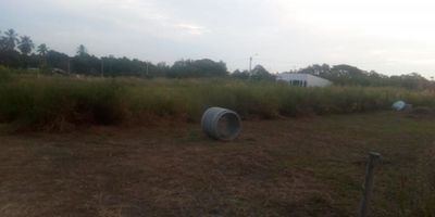Lote de 25mts x 9mts ubicado en el Espinal Tolima.