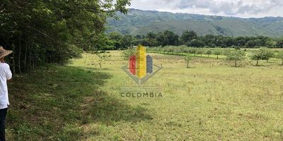 Dentro de esta finca de 56 ha se encuentran tres predios con matrículas independientes y se pueden vender de diferentes formas:
1.	finca 8 Ha, $750.000.000 totalmente plana
2.	 Finca 25 Ha, $1.000.000.000 toda plana.
3.	Finca, $920.000.000 toda plana.