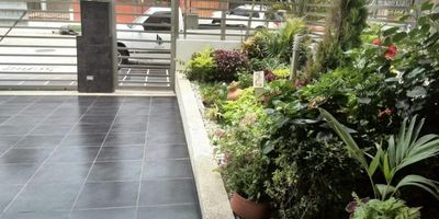 Vendo casa de 3 niveles de 320 M2. Cuenta con sala-comedor, 4 habitaciones, closet, 5 baños, cuarto y baño de servicio, 4 garajes puerta eléctrica, balcón, estudio, sala de estar, terraza, patio y jardín. Cerca de supermercados, restaurantes, centros comerciales, sector comercial y vías de fácil acceso.