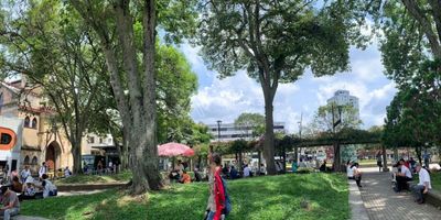 Inversión estratégica en zona de alta demanda! Lote ideal para desarrollo residencial.

Dimensiones: Con 7 metros de frente por 43 metros de fondo, este lote ofrece el espacio perfecto para proyectos versátiles.

Ubicación privilegiada: Situado en una de las zonas más dinámicas y con mayor proyección, cerca de la Universidad Andina, el Sena, Clínica los Rosales. También rodeado de cafeterías, restaurantes, farmacias y con acceso a múltiples opciones de transporte público, garantizando comodidad para futuros residentes o negocios.

Potencial de desarrollo: Ideal para construir aparta estudios o apartamentos dirigidos a estudiantes, profesionales y familias, asegurando alta demanda. Su cercanía a centros educativos y comerciales lo convierte en una opción rentable y atractiva para inversionistas.

Punto destacado: Este lote es una oportunidad única para quienes buscan desarrollar proyectos modernos, funcionales y con una ubicación que asegura rentabilidad constante. ¡No lo dejes pasar!