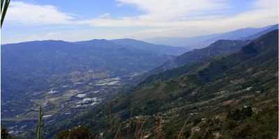 Ubicado en la hermosa Vereda Altamira, este terreno de 45.000 m² ofrece un entorno natural privilegiado, a pocos minutos del Parque de las Aguas y cerca del peaje El Trapiche.

Características destacadas:


 Acceso fácil gracias a la placa huella hasta la entrada del lote.
 Cuenta con una construcción funcional que incluye 1 habitación, baño, sala y cocina, ideal para disfrutar desde el primer día o como base para futuros proyectos.


Este lote es perfecto para desarrollar tu finca soñada, proyectos turísticos o simplemente disfrutar de la tranquilidad y belleza de la naturaleza.

¡No dejes pasar esta oportunidad! Contáctanos para más información o agendar una visita.
