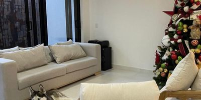 Se vende casa, inf. 3183348393 ubicada en el prestigioso condominio Forestal Sun, Jamundí, donde la comodidad, el lujo y la exclusividad del sector se unen para brindarte el estilo de vida que siempre soñaste. En el primer piso encontraras un lindo recibidor, amplia sala comedor, baño social, patio ornamental con muro llorón, cocina equipada (con electrodomésticos de lujo, cava de vinos, torre de hornos, extractor de olores), cuarto de alacena, cuarto del servicio con baño privado. Segundo piso: Estudio o sala de Tv, 2 habitaciones auxiliares con closet, baño privado y balcón con vista externa a linda zona verde, habitación principal con balcón al interior del conjunto, amplio vestier y baño doble. Tercer piso: Terraza con conexiones para zona húmeda, cocina BBQ. Esta casa no es solo un hogar, es una declaración de estilo y estatus. La propiedad tiene una obligación con Lessing habitacional con Davivienda. Inf. (602) 5532727 / 315 4596112