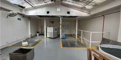Venta casa  comercial sobre via principal, cerca a la galeria alameda, dos pisos en el centrico barrio Alameda Centro de Cali, uso de suelo mixto, adaptada para laboratorio, restaurantes, empresas, fabricas, plantas produccion, consultorios, oficinas, distribuido en garaje o recepcion, salon con oficinas, escalera a segundo piso y ascensor, tres oficinas y salon. Medidas aprox. Rf.
