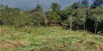 VENTA DE PARCELA PIEDECUESTA VEREDA EL GUAMO COD: 726

 

?2.600 M2 

? SOLO TERRENO

? A 5.5 KILÓMETROS DE LA BOMBA TRANS PIEDECUESTA.

✅ CON MEDIDOR DE LUZ LEGALIZADO ANTE LA ELECTRIFICADORA DE SANTANDER

?ABUNDANTE AGUA VEREDAL

✅TANQUE ALMACENAMIENTO DE 15 MIL LITROS APROXIMADAMENTE

? TOTALMENTE ENCERRADA EN POSTES DE CEMENTO CON ALAMBRE DE PUA

? EXCELENTE VISTA

✅DOBLE ENTRADA

?ESCRITURA PÚBLICA

? PRECIO 175 MILLONES

 

AGENDA TU CITA. *301* *594* *8700*  
