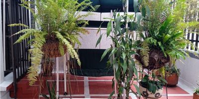 VENTA APARTAMENTO DUPLEX EN VENTA, VERSALLES, NORTE, CALI -  ubicado en el tercer  piso , el ascensor llega directo al apartamento, en  un edificio de 13 apartamentos  cuenta con buena luz natural, lo que permite disfrutar de iluminación constante. El edificio cuenta con planta eléctrica, Unidad técnica de basuras (UTB) y seguridad privada 24 Horas, depósito propio.  Distribuido en: Primer Nivel: dos salas, comedor, una agradable terraza mas balcón  con acceso a la  sala, cocina integral, cuarto de servicio con baño,  baño social. Segundo nivel: star de tv, baño , tres habitaciones muy amplias  con closet, la principal y baño, dos de las habitaciones con Vestier. Sector muy comercial, central, goza de muy buena ubicación, cerca de varias vías de acceso, Cerca de Parques, Zonas Verdes, Tiendas, Centro Comercial La Pasarela, Estación de transporte MIO, Olimpica, avenida sexta, estacion y  Avenida las Américas, clínicas cercanas como la Versalles. Piso en retal de marmol.
