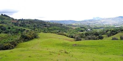 Venta de excelentes lotes ubicados en la cabecera municipal de la Cumbre - Valle, cerca de sector comercial de la zona, con excelente vista, rodeado de naturaleza y un clima espectacular. Se vende minimo 3500 mts de area tierra, 100 mil pesos el metro cuadrado. El precio variará por compra de plaza o hectaréa. La zona cuenta con energía de la empresa Celsia, acueducto de acua valle y tiene la cobertura de internet y tv de claro, movistar y direc tv. Más info con Juan Orrego. 