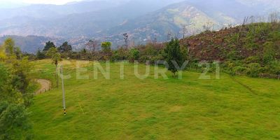 LOTE #8 "EL PORTAL DEL AMANECER": "El Portal del Amanecer es el primer rayo de sol que ilumina el reino de Cerros del Corcovado. Ubicado en la entrada principal del condominio, este lote te ofrece la oportunidad de construir tu propio paraíso y disfrutar de los amaneceres más espectaculares. Imagina despertar cada mañana con la luz del sol bañando tu hogar y sintiendo la energía revitalizante de un nuevo día. ¡Tu propio oasis en el corazón del reino!" Considerando la ubicación y el tamaño del lote, te presentamos dos opciones que podrían adaptarse a tu estilo de vida y a tus intereses: