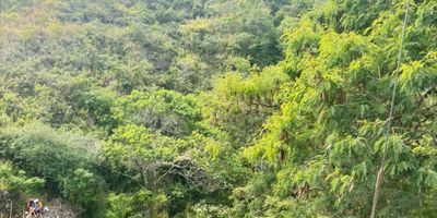 Descubre esta excelente oportunidad de inversión en un lote de 400 metros cuadrados ubicado en , . Con una ubicación privilegiada y un amplio espacio para desarrollar tu proyecto inmobiliario, este terreno es ideal para construir la propiedad de tus sueños. No pierdas la oportunidad de adquirir este lote único. ¡Contáctanos ahora para más información y asegura tu futuro inmobiliario!