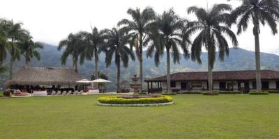 Brando & Cia te ofrece una impresionante finca al norte de la ciudad de Medellin, una propiedad con todas la comodidades a la mano. 

Este inmueble cuenta con 50.000 Mts aprox de area total del lote, el cual se divide en dos lotes en la parcelación, cuenta con 850 metros de contrucción en la casa principal y 200 Mts de kiosko, el cual tiene cocina, baño social y una amplia area social. 

La casa principal cuenta con 10 habitaciones cada una con baño y aire acondicionado, mas la casa de mayordomo que esta por aparte. En general la propiedad gracias a la extensión de lote cuenta con zonas verdes unicas y adecuadas para acomodarlas segun tus necesidades o gustos, adicionalmente cuenta con planta de tratamiento, seis potreros para ganado y caballos, arboles frutales que se extienden a lo largo del terreno, piscina, jacuzzi, turco, dos cocinas completamente dotadas. 

Esta propiedad cuenta con muchisimas ventajas, ademas de contar con muchisimas comodidades, pues el area del terreno se encuentra en su totalidad enmallada, se ecuentra en una parcelación privada y cuenta con una distribución, construcción e iluminación natural impecable. 

En conclusión esta propiedad es unica para ti y para tu familia! no esperes mas y contactanos para agendar tu cita! 
