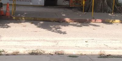 Casa ubicada en barrio bosque, sobre la avenida Pedro Vélez, en el barrio el bosque, Primer piso: garaje, sala, antesala, comedor, cocina, 1 patios, 3 alcobas, 2 baños, con  terraza. Quieres saber más Estamos encantados de ayudarte a elegir el mejor lugar para tu familia. Descubre tu próximo hogar con nosotros...