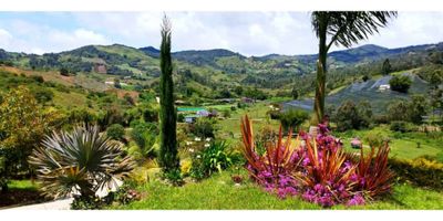 Hermoso lote para venta el vereda la Aldana, 2000m2, con derecho agua, cuenta con red de gas, luz, pozo septico, facil acceso, via pavimentada a 6km del Carmen de viboral.
