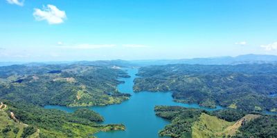 ¡Descubre la parcelación SAN LORENZO CAMPESTRE! 

Lotes en venta en el municipio de San Roque, Antioquia, a solo 20 minutos del parque principal, con vista y acceso al embalse de San Lorenzo.

30 lotes de 5.000 m2, cada uno diseñado para ofrecer un estilo de vida tranquilo y en armonía con la naturaleza. 

Características del proyecto:


 Portería privada
 Acueducto propio.
 Redes eléctricas subterráneas
 Sendero ecológico 
 Deck con acceso peatonal al embalse.
 Matricula 100%
 Vías en afirmado y placa huella.


Precio preventa $240.000.000 millones de pesos.

Reserva ahora con solo el 30%
