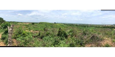 Lote En Venta, en pasacaballo

con 600metros sobre la via principal

12 hectareas aproximadamente tiene 118.000 M2 valor M2 es de  $120.000

El lote cuenta con Energia y agua

Elvalor del M2 esta 120 Mil 

 2795719.

 

 
