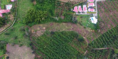 ¡Tu Proyecto en el Cprazón del Eje Cafetero! Lote de 9.000 mts2

Descubre este espectacular lote de 9.000 mts2, perfecto para desarrollar grandes proyectos, una hermosa casa de campo o un espacio con uso turístico. Ubicado en una zona privilegiada, rodeado de naturalez, cafetales y platanales, ofreciendo un ambiente tranquilo y lleno de vida.

Ubicación estratégica:

A 5 minutos del Aereopuesto el Edén

A 2 minutos del Caimo

En medio de su espectacular verde con paisaje inigualables.

Un espacio donde la naturaleza y desarrollo se encuentran. ¡No dejes pasar esta oportunidad! Contáctanos para más información.

Cel. 318-4228674
