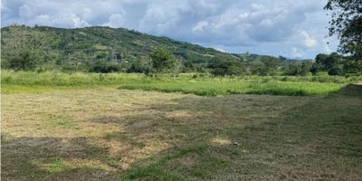 ? ¡Lote en Venta en Las Margaritas, Vía Arauca!

? Ubicado en una zona tranquila y rodeada de naturaleza, este lote de 204 m² es ideal para construir la casa de tus sueños o desarrollar un proyecto turístico.

? Entorno Natural y Panorámico: Disfruta de una hermosa vista y un ambiente campestre con amplias zonas verdes, perfecto para quienes buscan tranquilidad y conexión con la naturaleza.

? Ubicación Estratégica: Cerca de la zona urbana y con acceso a transporte público, lo que facilita la movilidad y acceso a servicios esenciales.

? Ideal para Disfrutar: Espacio apto para mascotas, zona de camping y actividades al aire libre, en un entorno seguro y natural.

? ¡Contáctanos y conoce más sobre este increíble lote!


