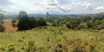 Lote con una área  de 7.500 m2, ubicado en la vereda la peña a 15 minutos de la piedra el peñol, con una hermosa vista al embalse y la piedra.

escritura 100%

vias de acceso en placa huella. 

se entrega con energia y acueducto.
