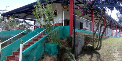 SE VENDE FINCA DE 5 HECTAREAS RIO NEGRO SANTANDER COD:742

Excelente vista a Bucaramanga


 - Tiene 5 Hectáreas
 - Consta de una casa campestre, con 3 amplias habitaciones
 - Sala-comedor 
 - Cocina 
 - BBQ
 - Corredores con bellos atardeceres 
 - Tiene Casa para mayordomo totalmente terminada. 


♻️Cultivos: cacao, cítricos, plátano, aguacate guanábanas, mango, guayaba, piña y galpon para 1000 aves con sus respectivos accesorios.

♻️ ubicada a solo 20 minutos de Rionegro, en la zona se encuentran 2 colegios de bachillerato, cuenta con ruta de Jeeps y Bus veredal a diario.

♻️ Cuenta con Internet Wi-Fi, acueducto y 2 nacimientos de agua.

PRECIO: $570 Millones 

ESCRITURA PUBLICA INDEPENDIENTE

INFORMES:301-5948700
